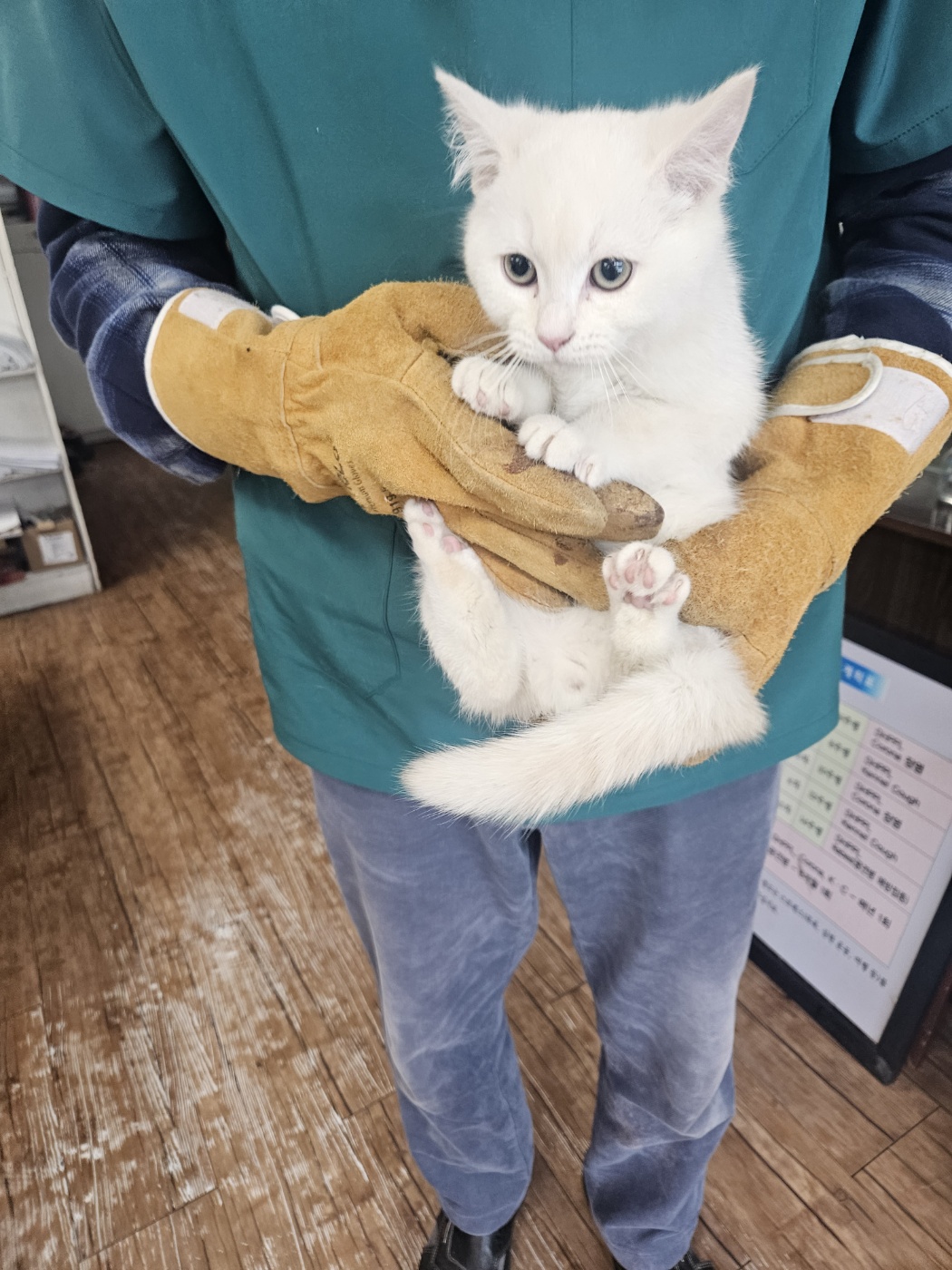 믹스묘 이미지 파일 입니다.